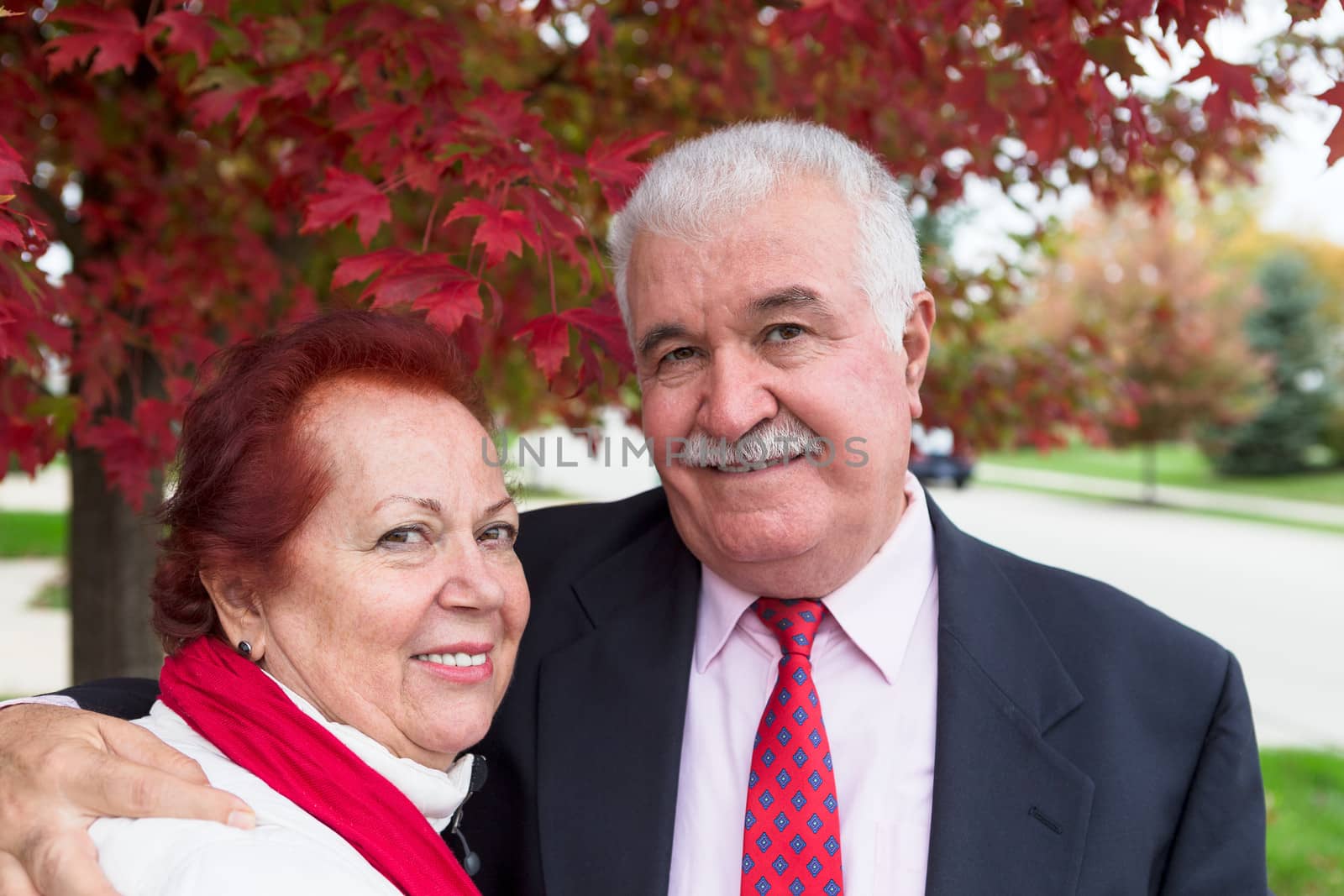 Senior Couple giving a portrait pose under the autumn tree