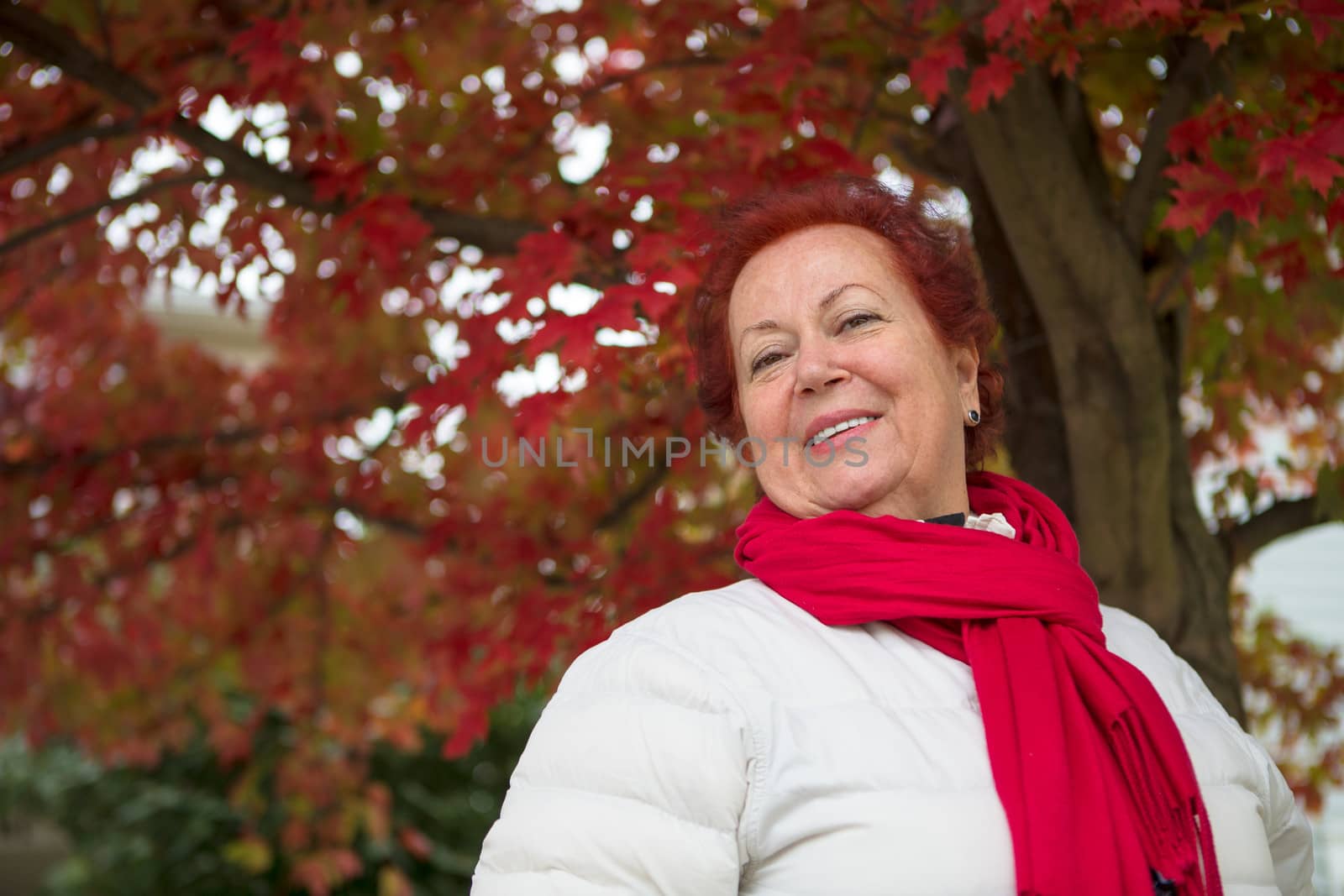 Red hair senior lady under the tree with red leaves looking at you happily with her red scarf and white coat