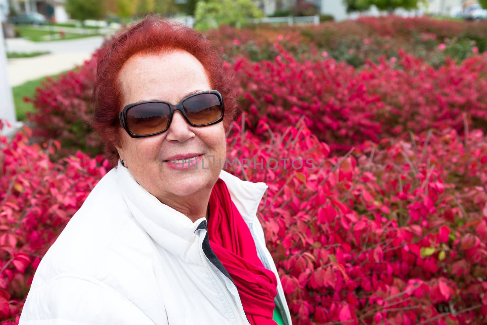 Senior lady enjoying the autumn around burning bushes