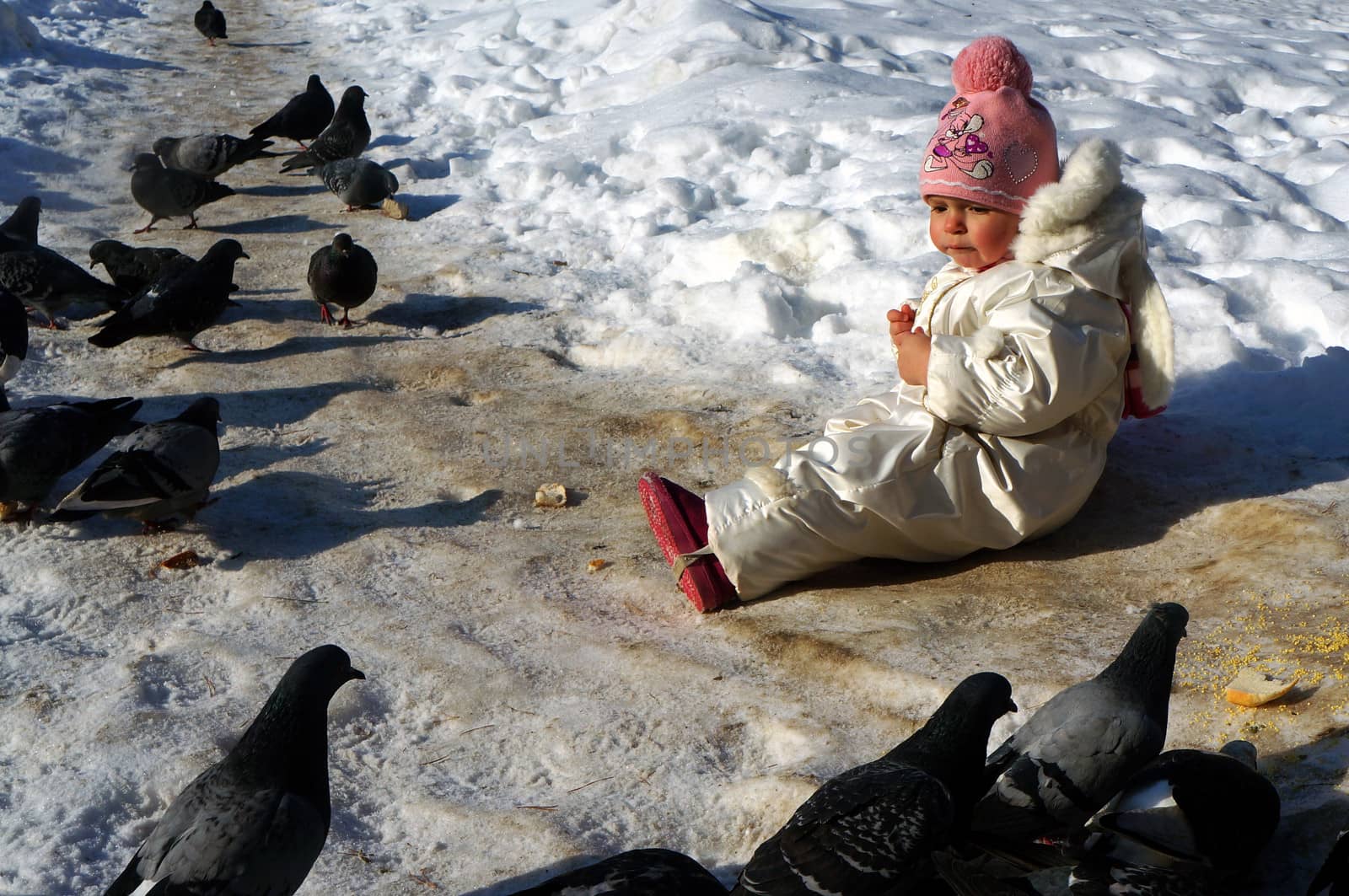 Two-year-old girl in white kombnezone sitting in the snow and feeding pigeons                               