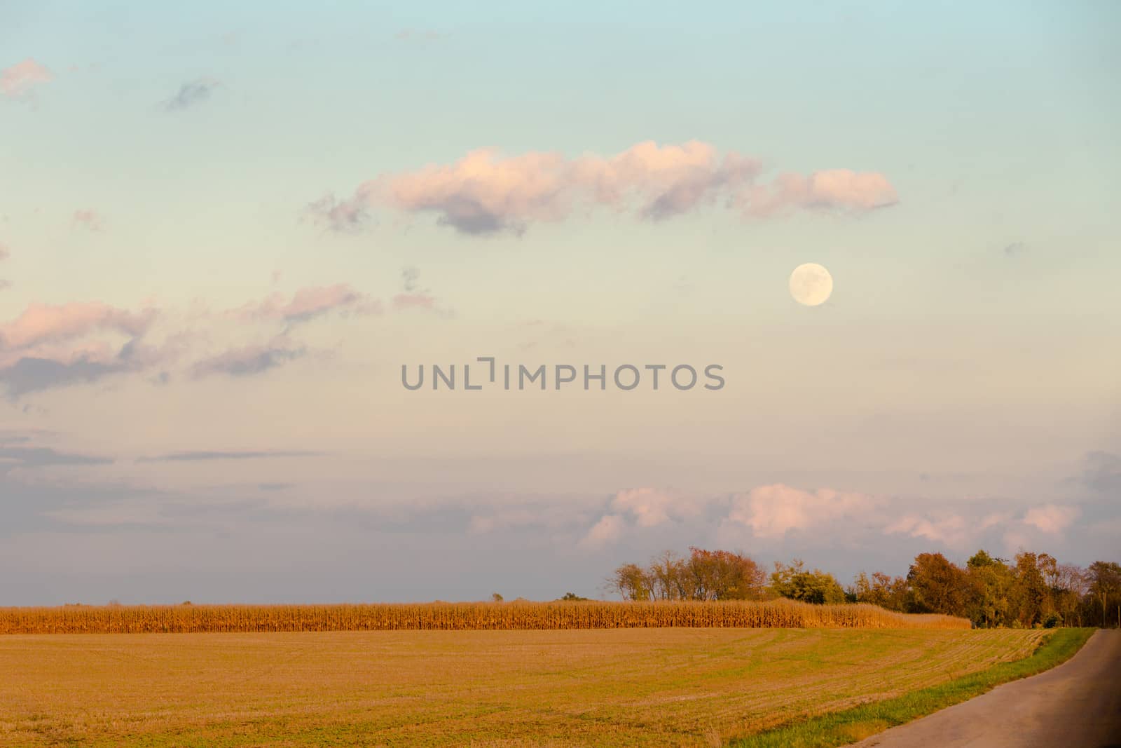 Cornfield farm at dusk with full Moon and some clouds