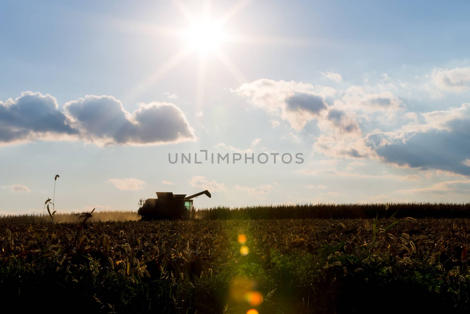 Corn Harvesting Machine Silhouette by coskun