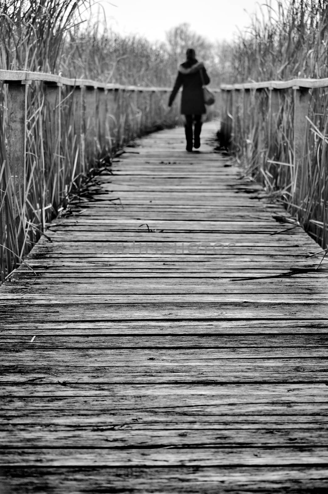 Girl walking on a path covered by wood by anderm