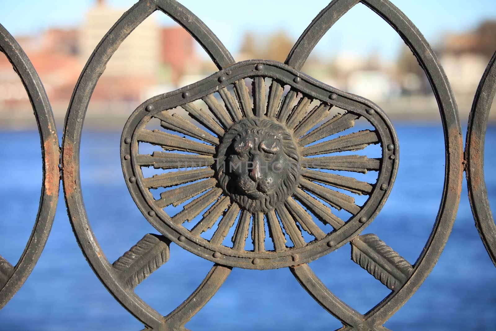 the old cast iron barelef lion head on a background of water close to.