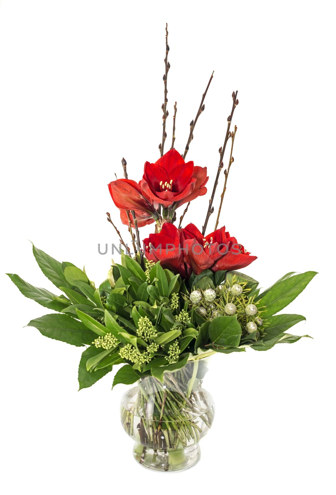 glass vase with red Amaryllis  green leaves and white roses