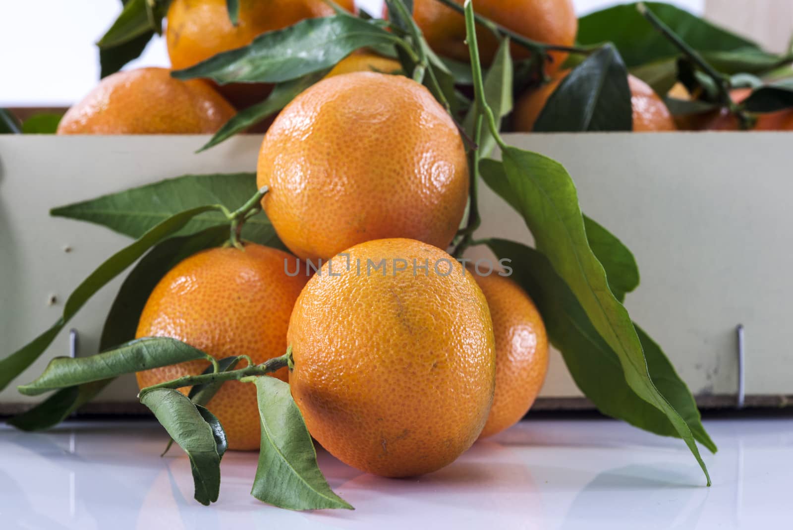 macro mandarines in orange with green leaves