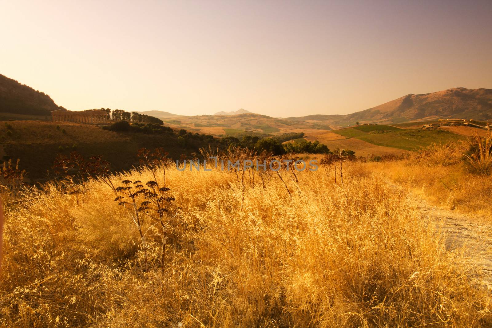 The Doric temple of Segesta in Northwestern Sicily