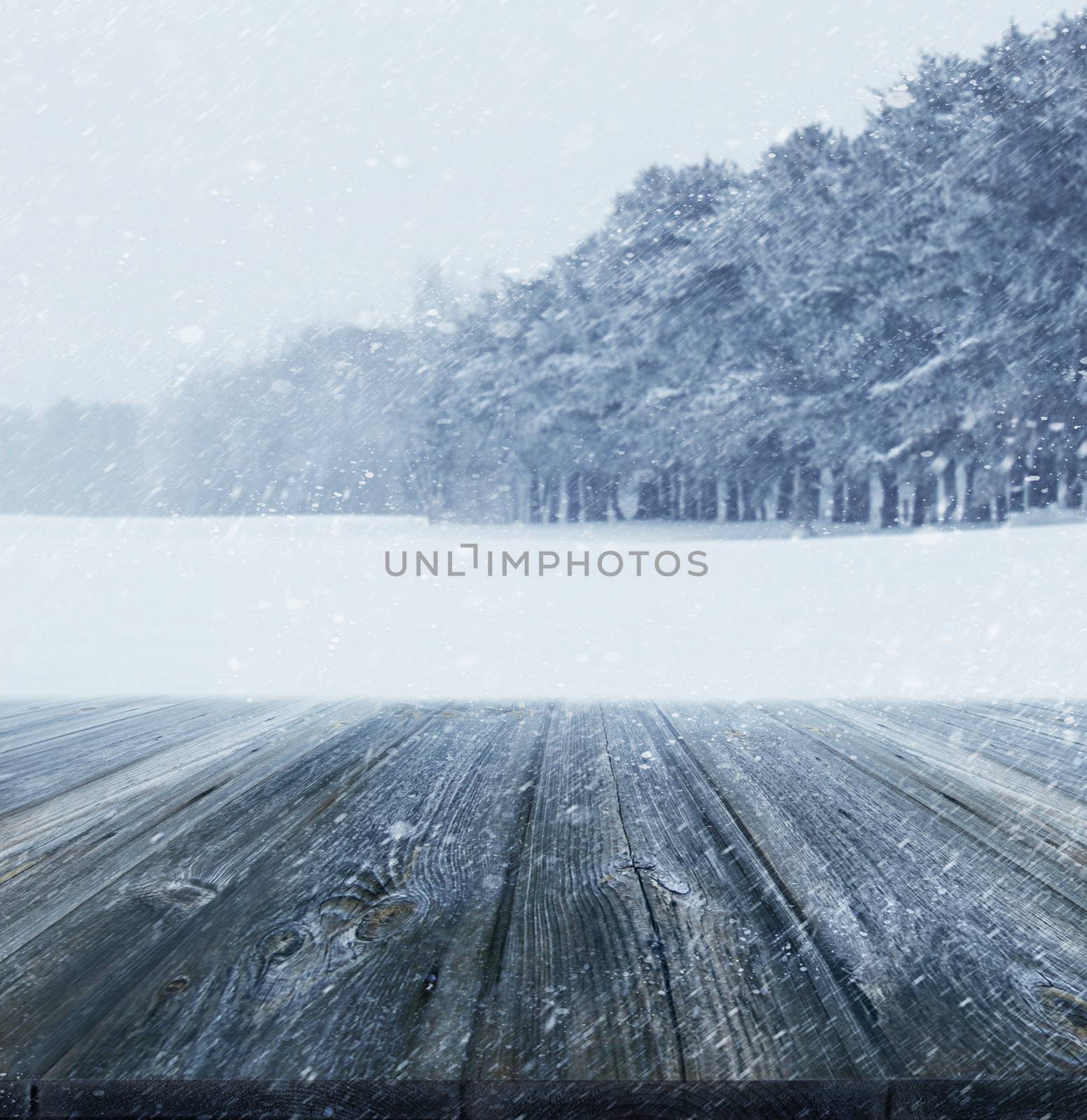 Winter background with wood planks in forefront by Sandralise