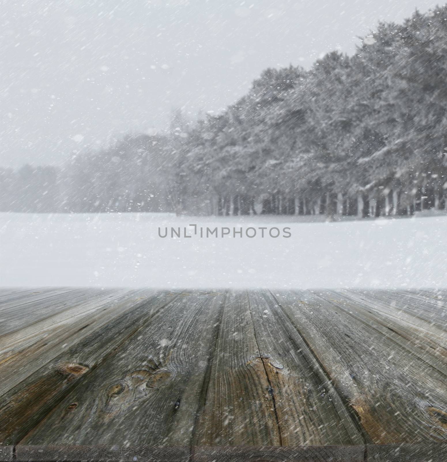 Winter background with wood planks in forefront by Sandralise