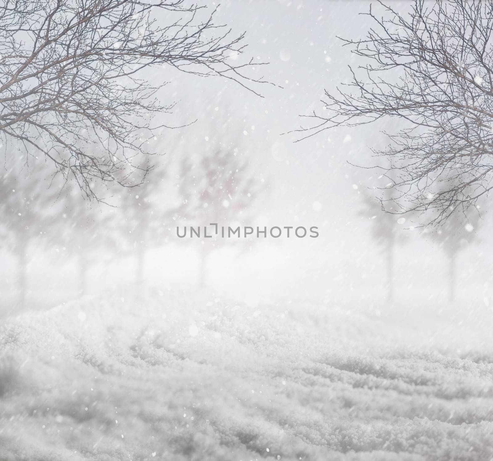 Snowy winter background by Sandralise