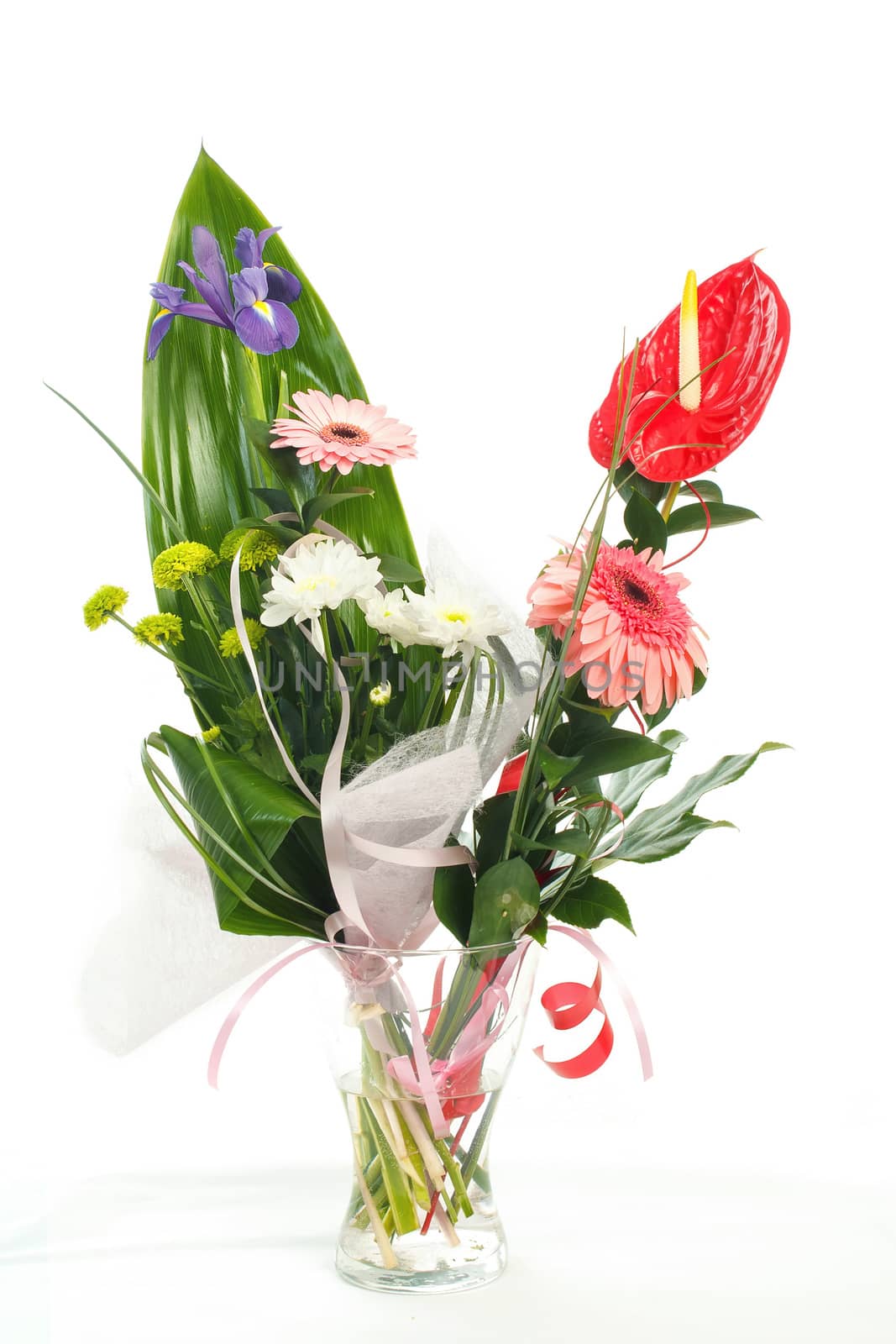 fresh bouquet from ping gerbers on white background