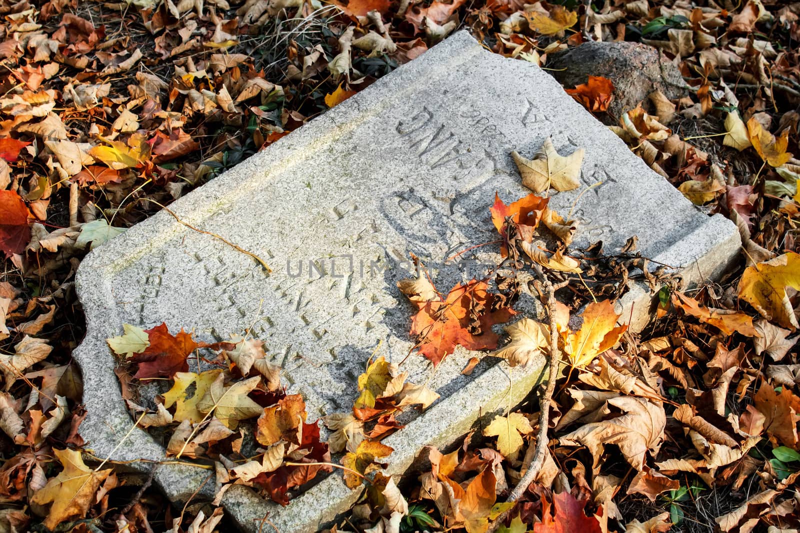damaged tomb in forgotten and unkempt Jewish cemetery with the strangers