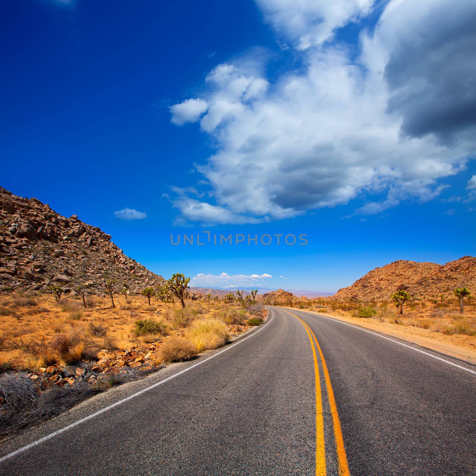 Joshua Tree boulevard Road in Yucca Valley desert California USA