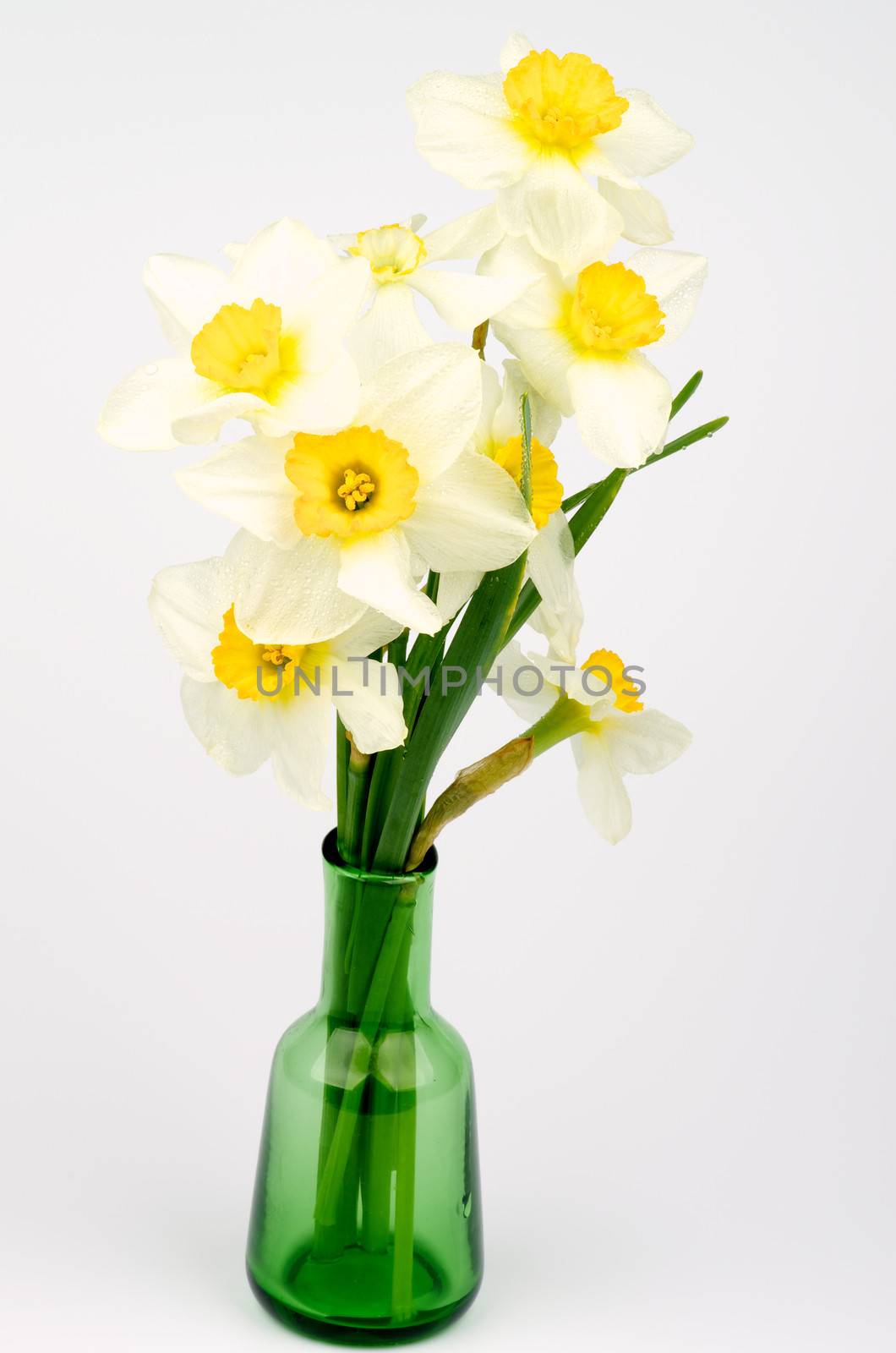 Daffodils Bunch by zhekos