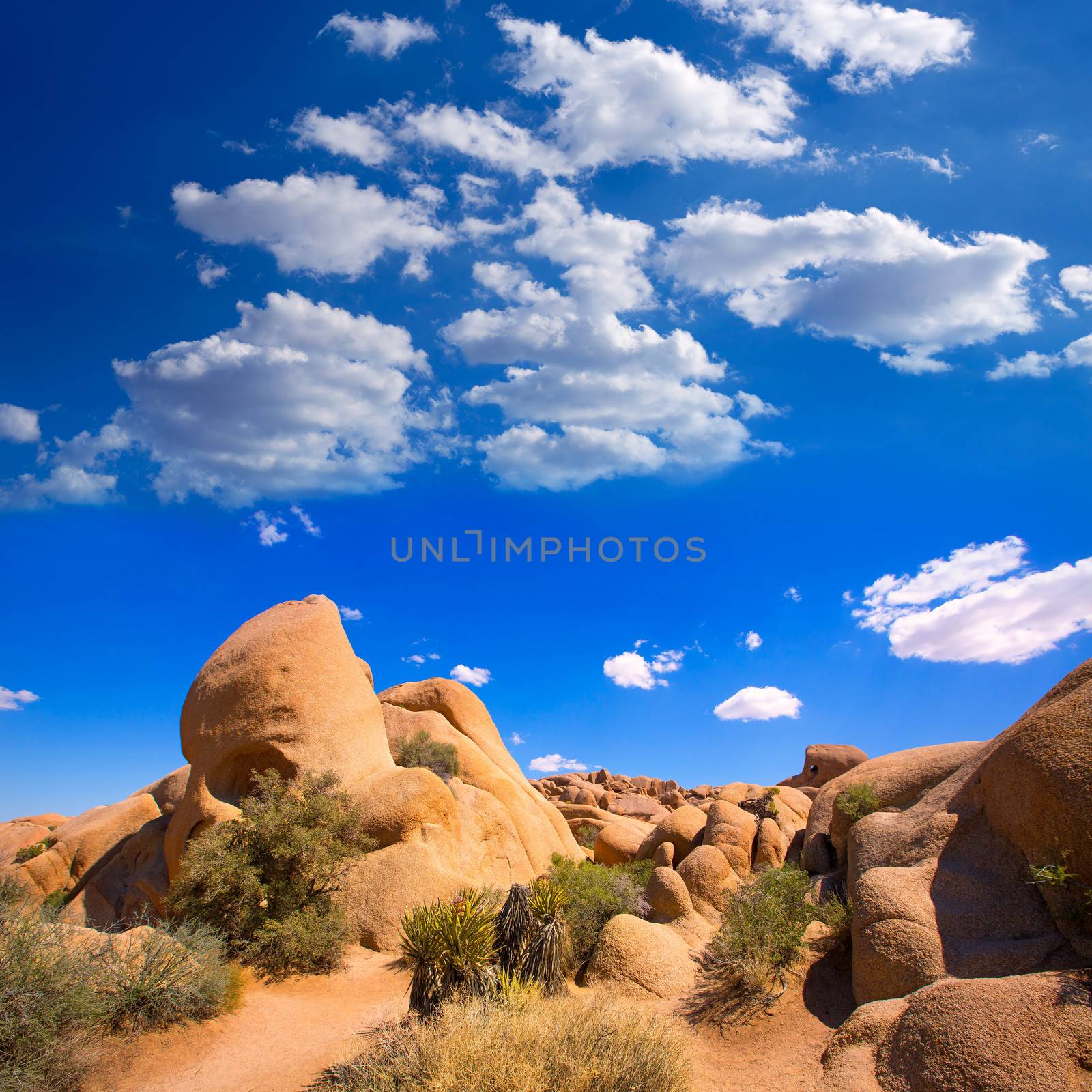 Skull rock in Joshua tree National Park Mohave desert Yucca Valley California USA