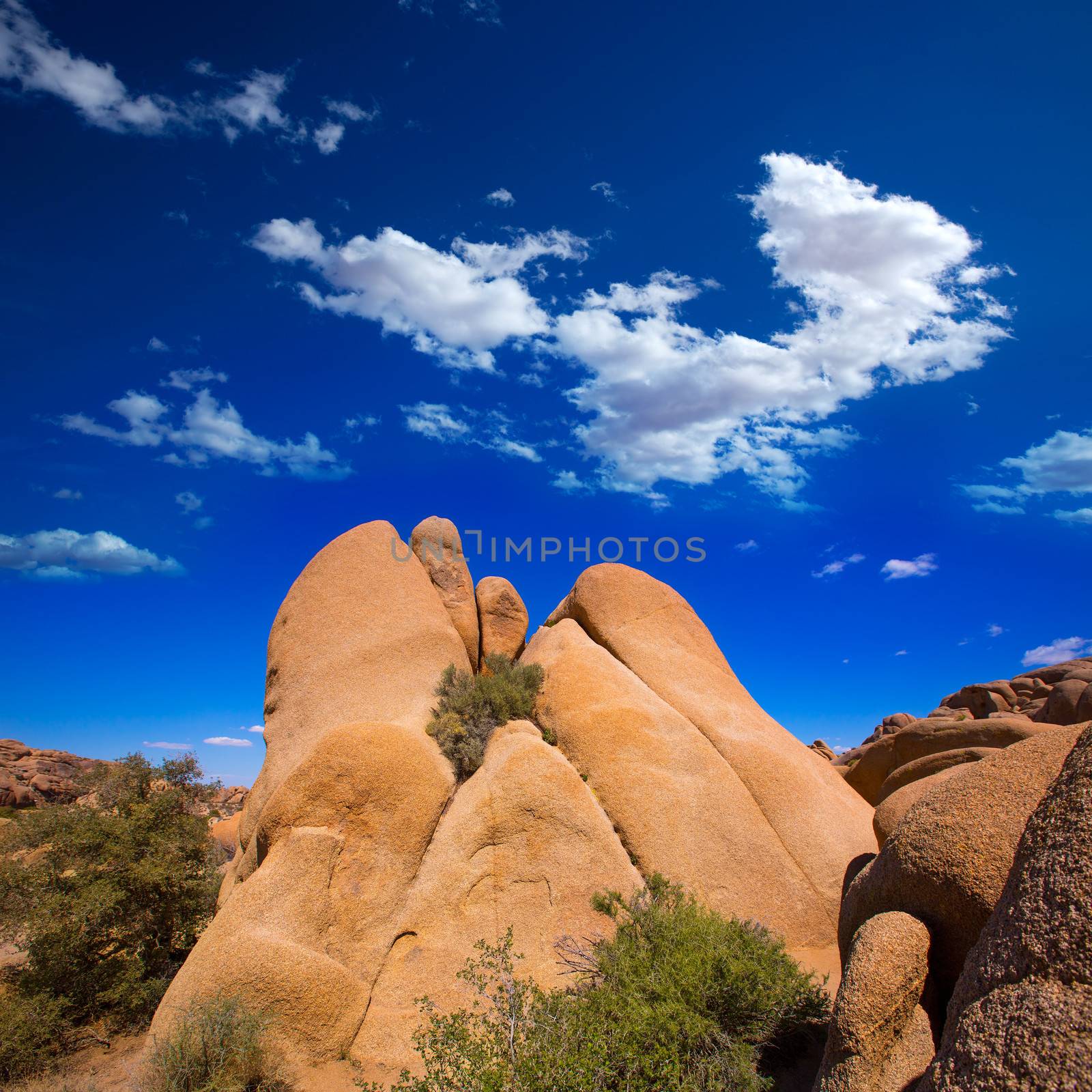 Skull rock in Joshua tree National Park Mohave desert Yucca Valley California USA