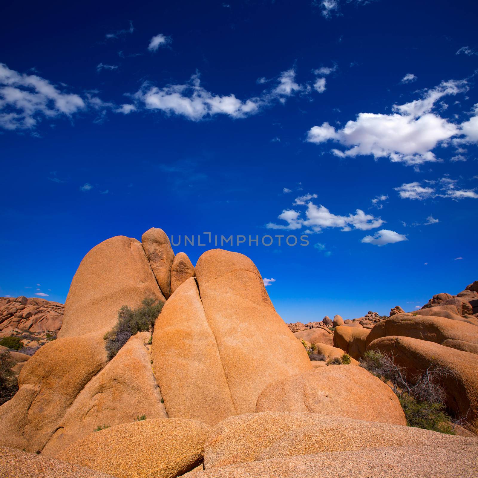 Skull rock in Joshua tree National Park Mohave desert Yucca Valley California USA