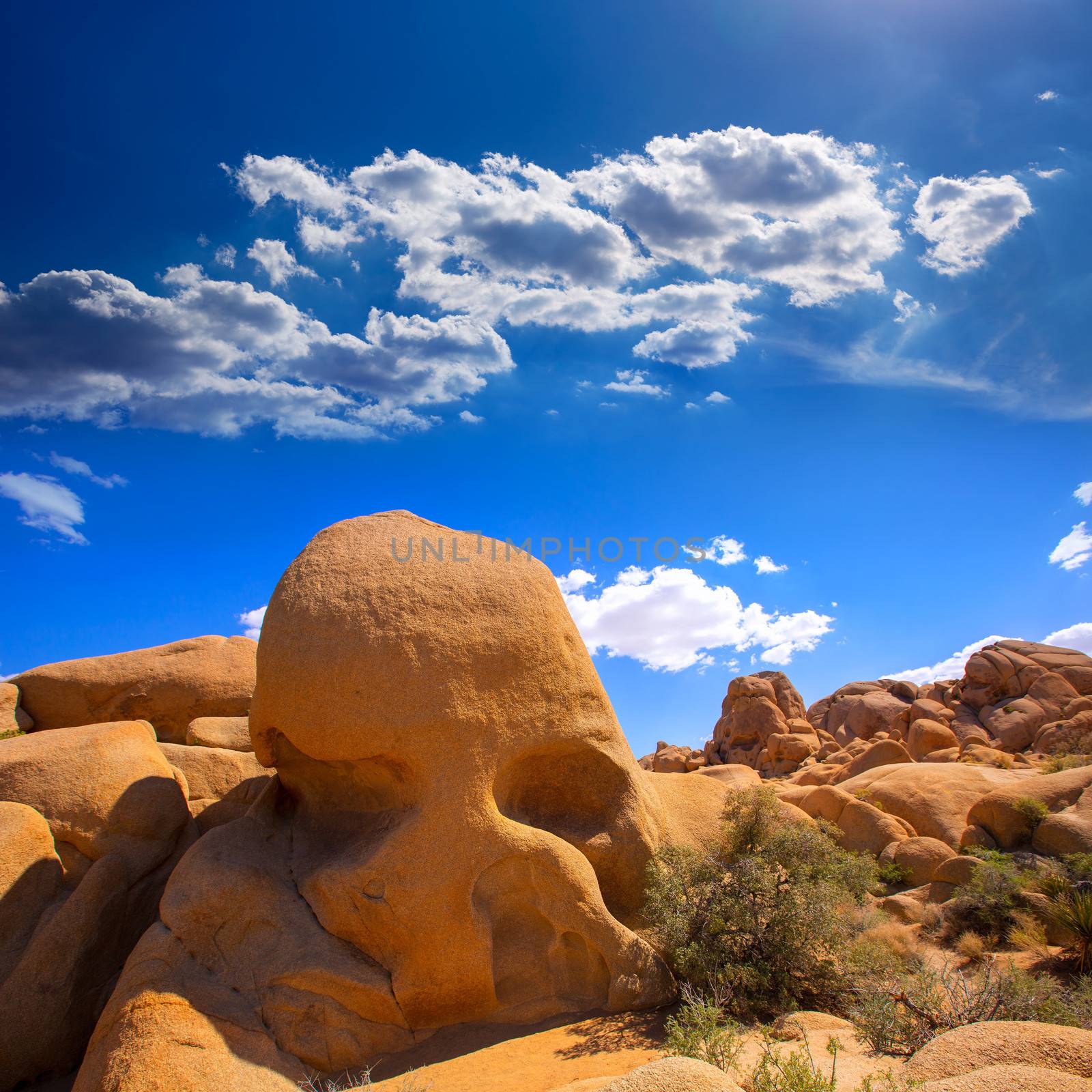 Skull rock in Joshua tree National Park Mohave desert Yucca Valley California USA