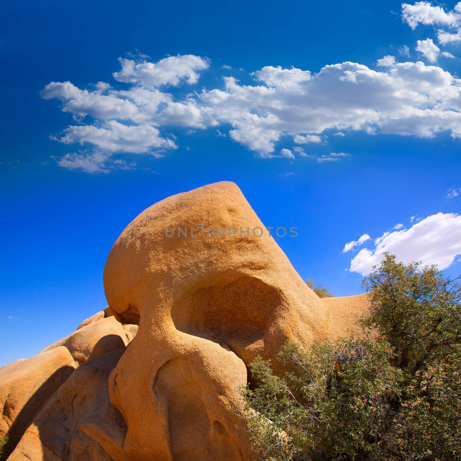 Skull rock in Joshua tree National Park Mohave desert Yucca Valley California USA