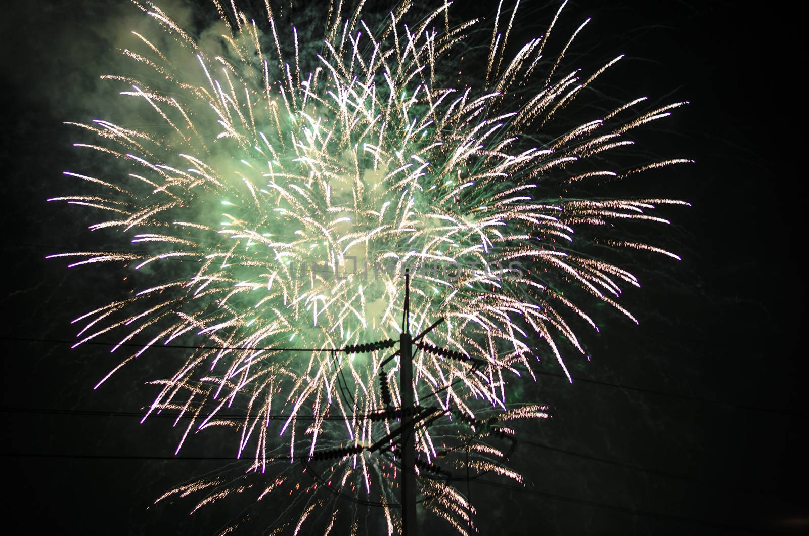 celebrate festival fire work on black sky background