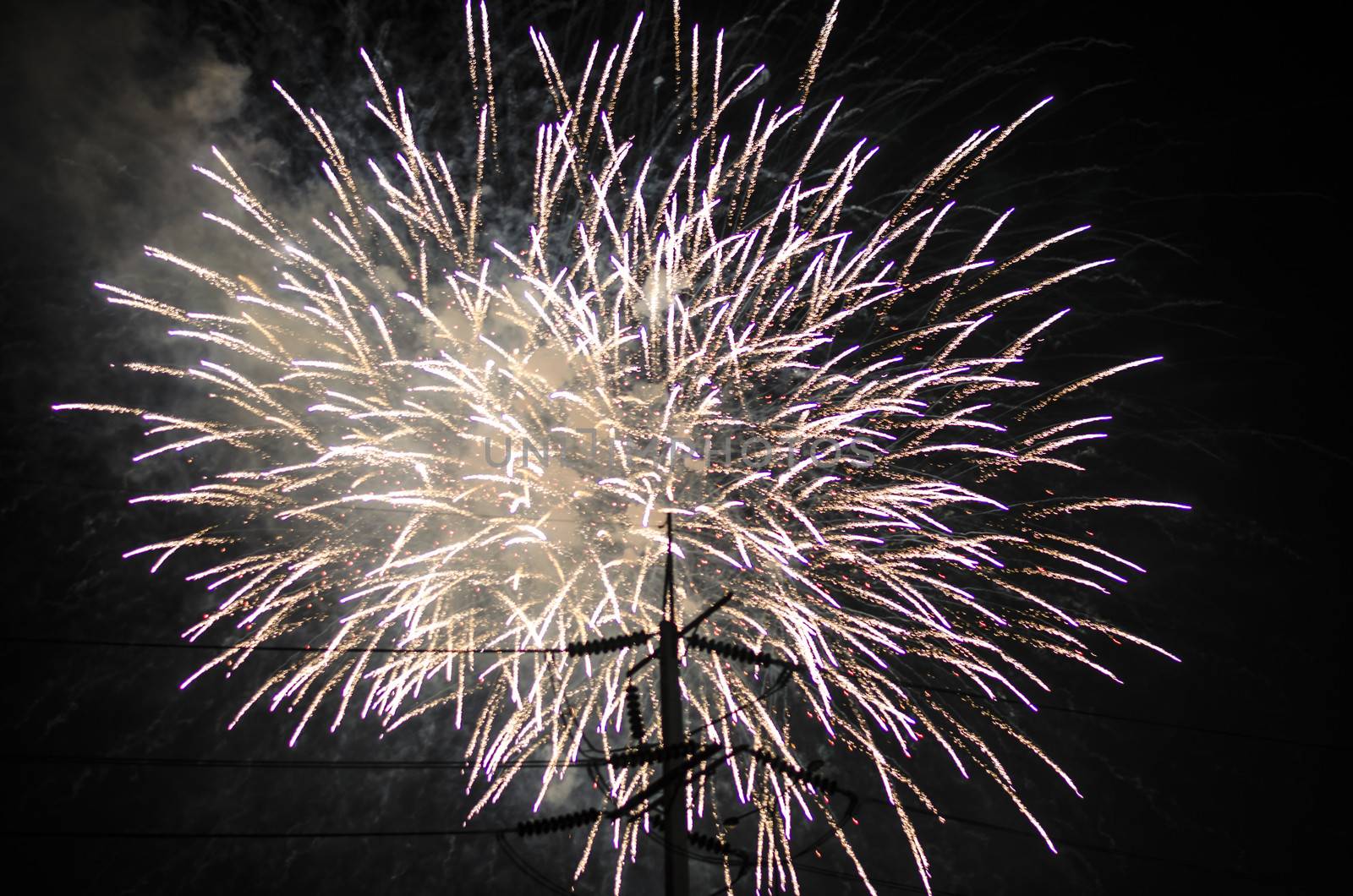 celebrate festival fire work on black sky background