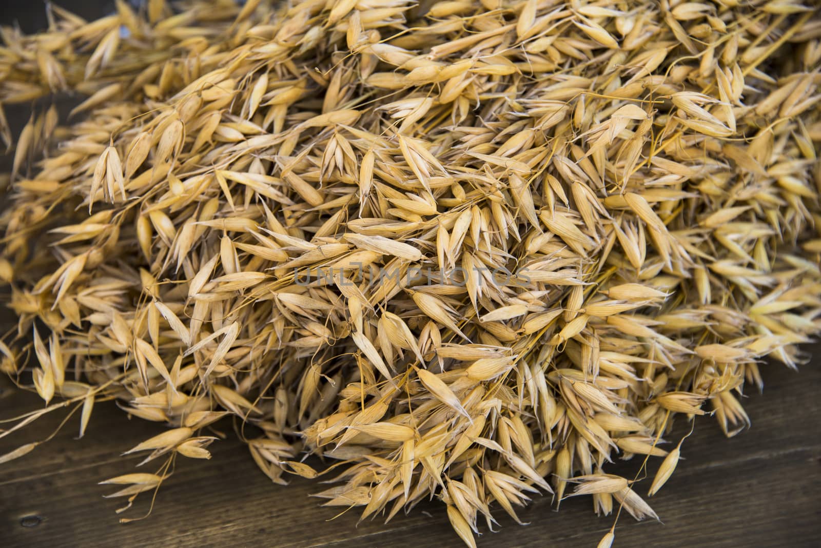 An oats sheaf lying on a table