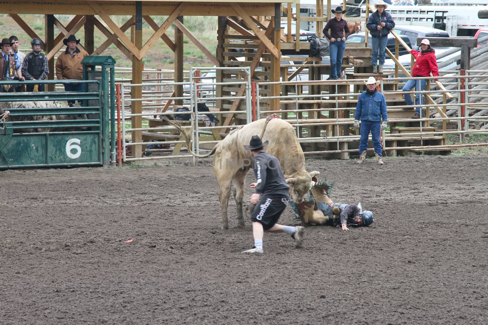 MERRITT; B.C. CANADA - MAY 15: Bull Riding event at Nicola Valley Rodeo May 15; 2011 in Merritt British Columbia; Canada