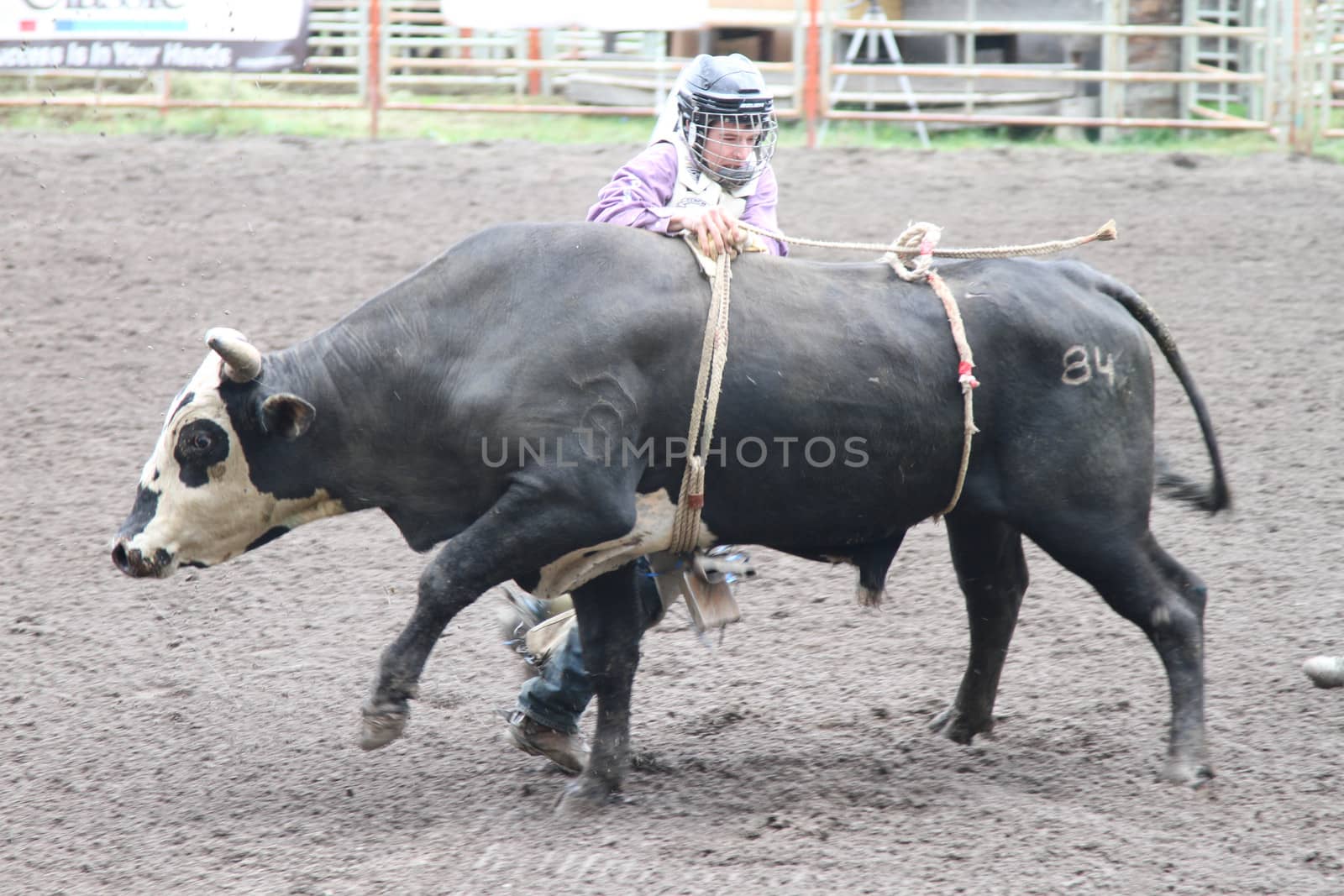 Nicola Valley Rodeo by stbosse