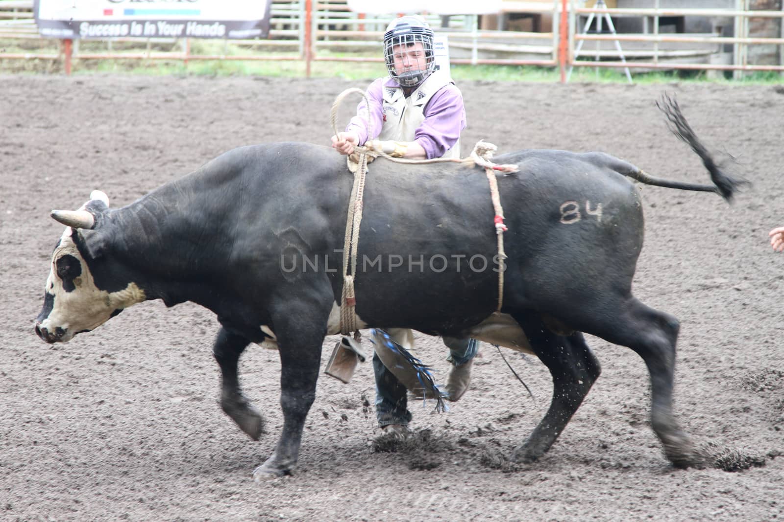 Nicola Valley Rodeo by stbosse