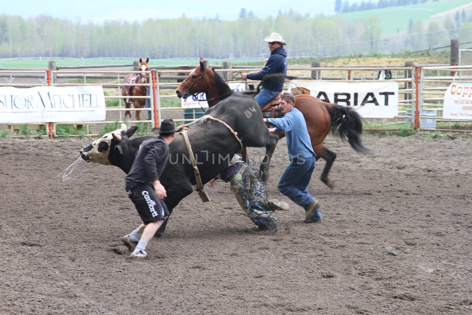 Nicola Valley Rodeo by stbosse