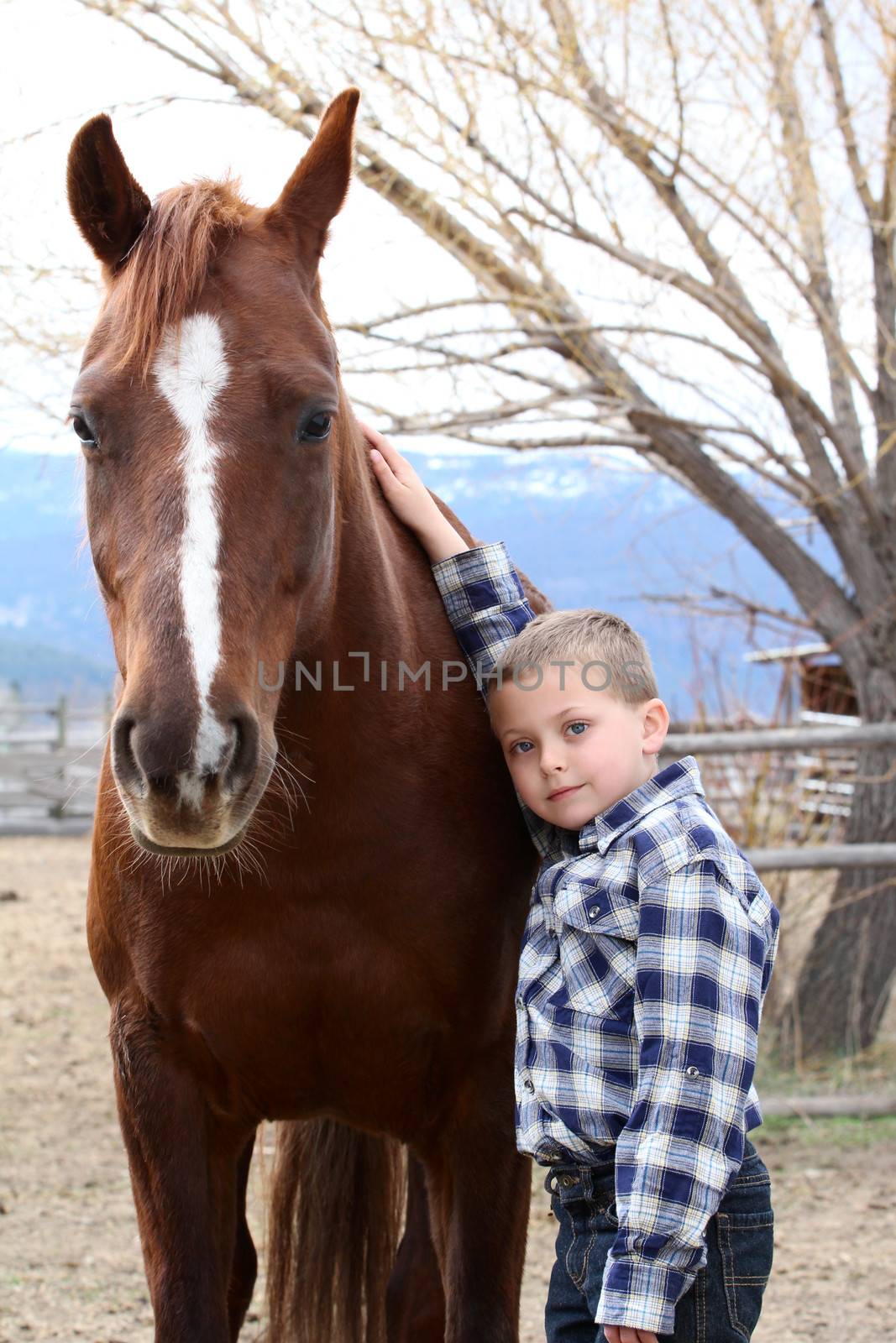 Young boy in blue leaning against his horse