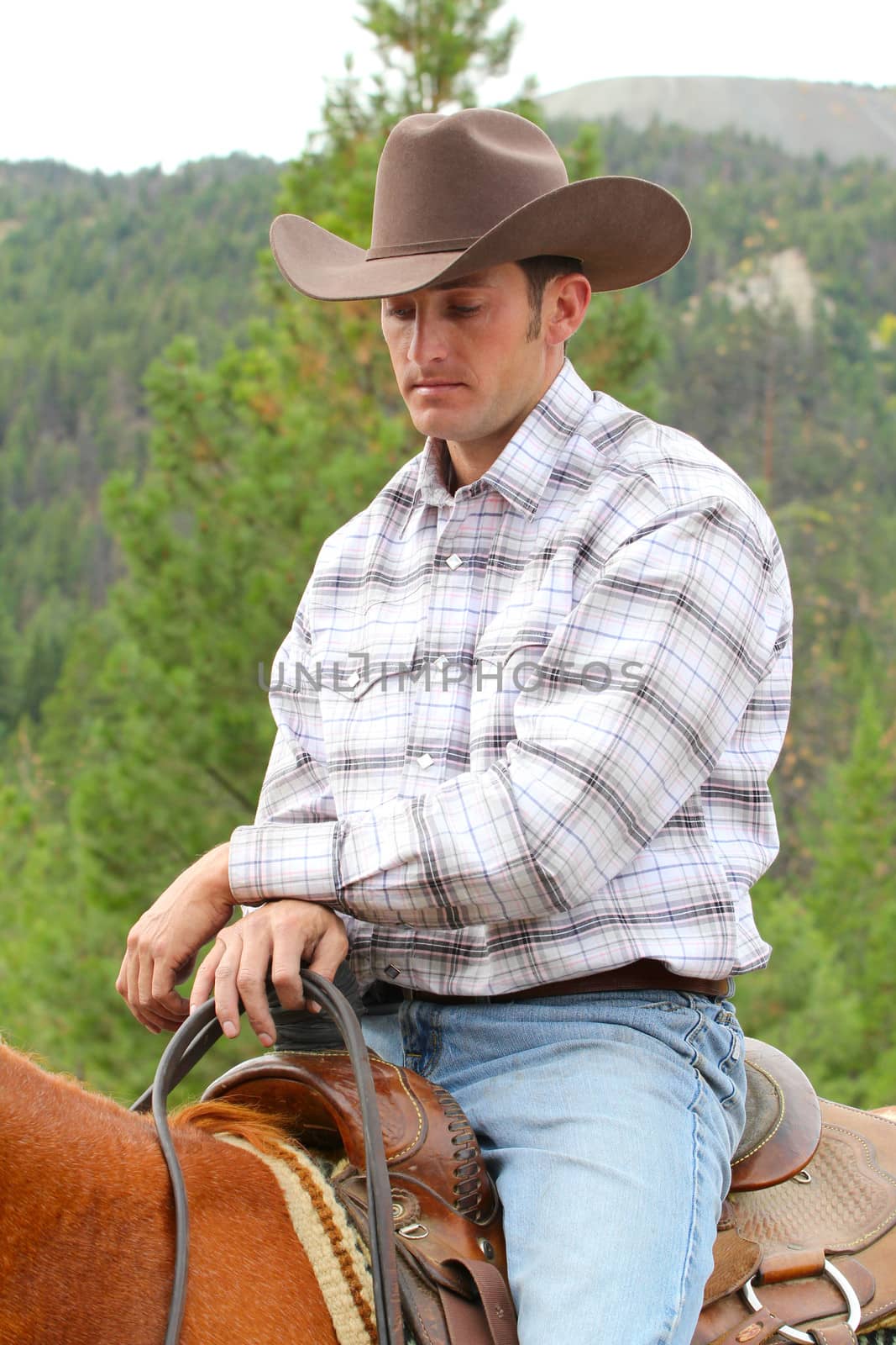 Attractive young cowboy on horseback in the mountains