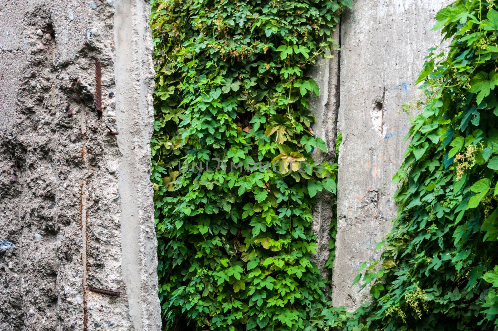 part of the Berlin Wall Memorial in the Bernauer Street