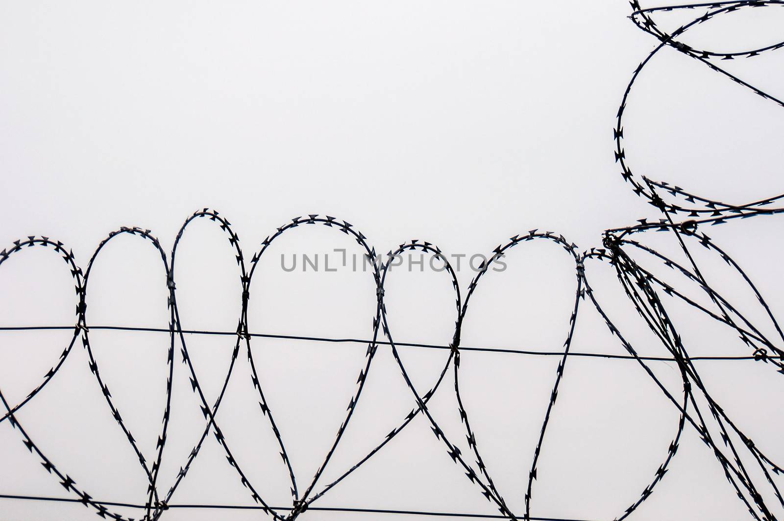 detail of a long barbed wire fence