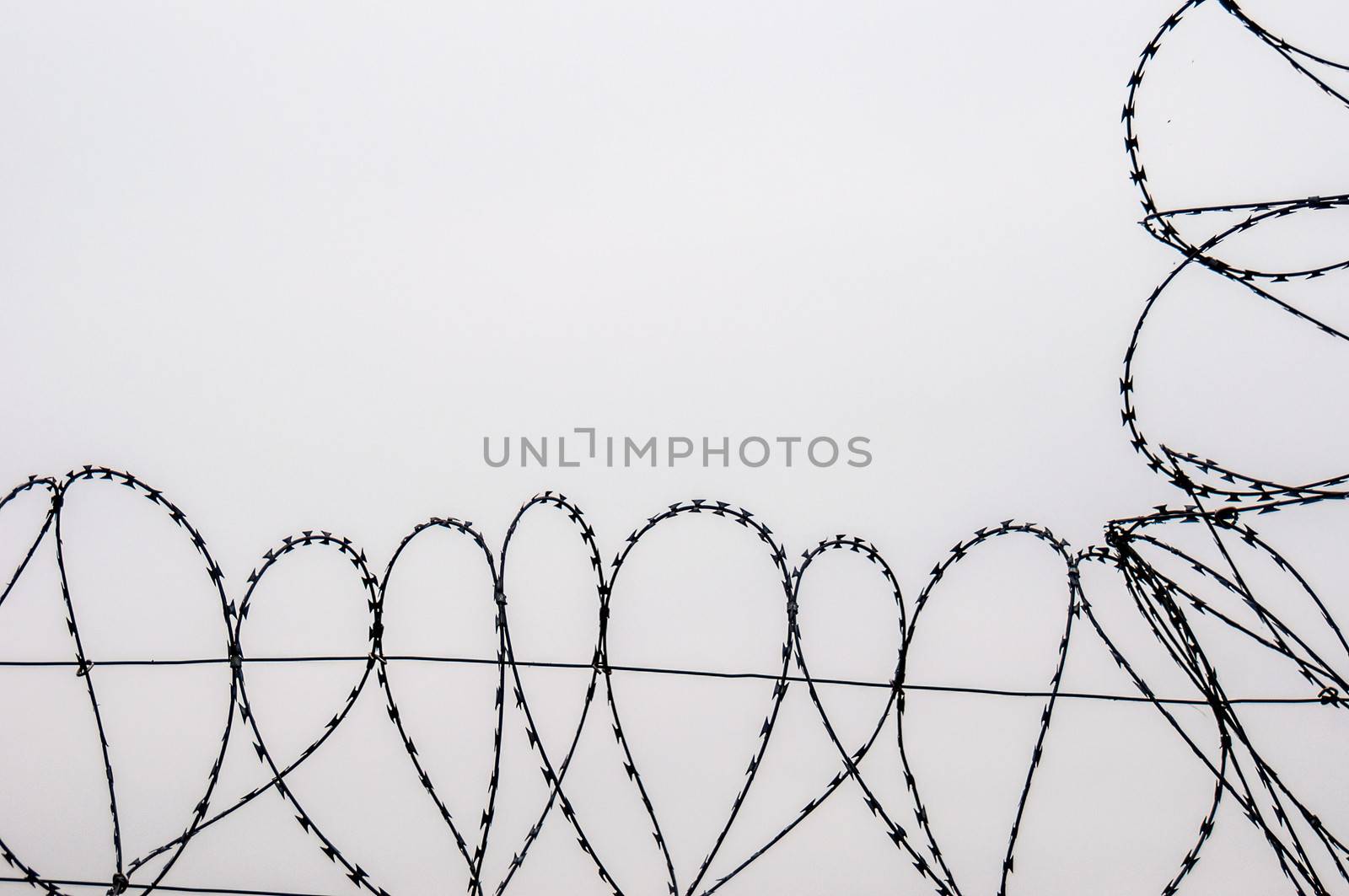 detail of a long barbed wire fence