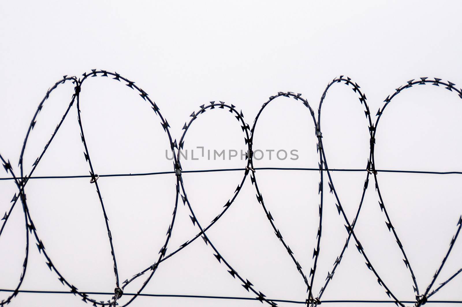 Barbed wire by Jule_Berlin