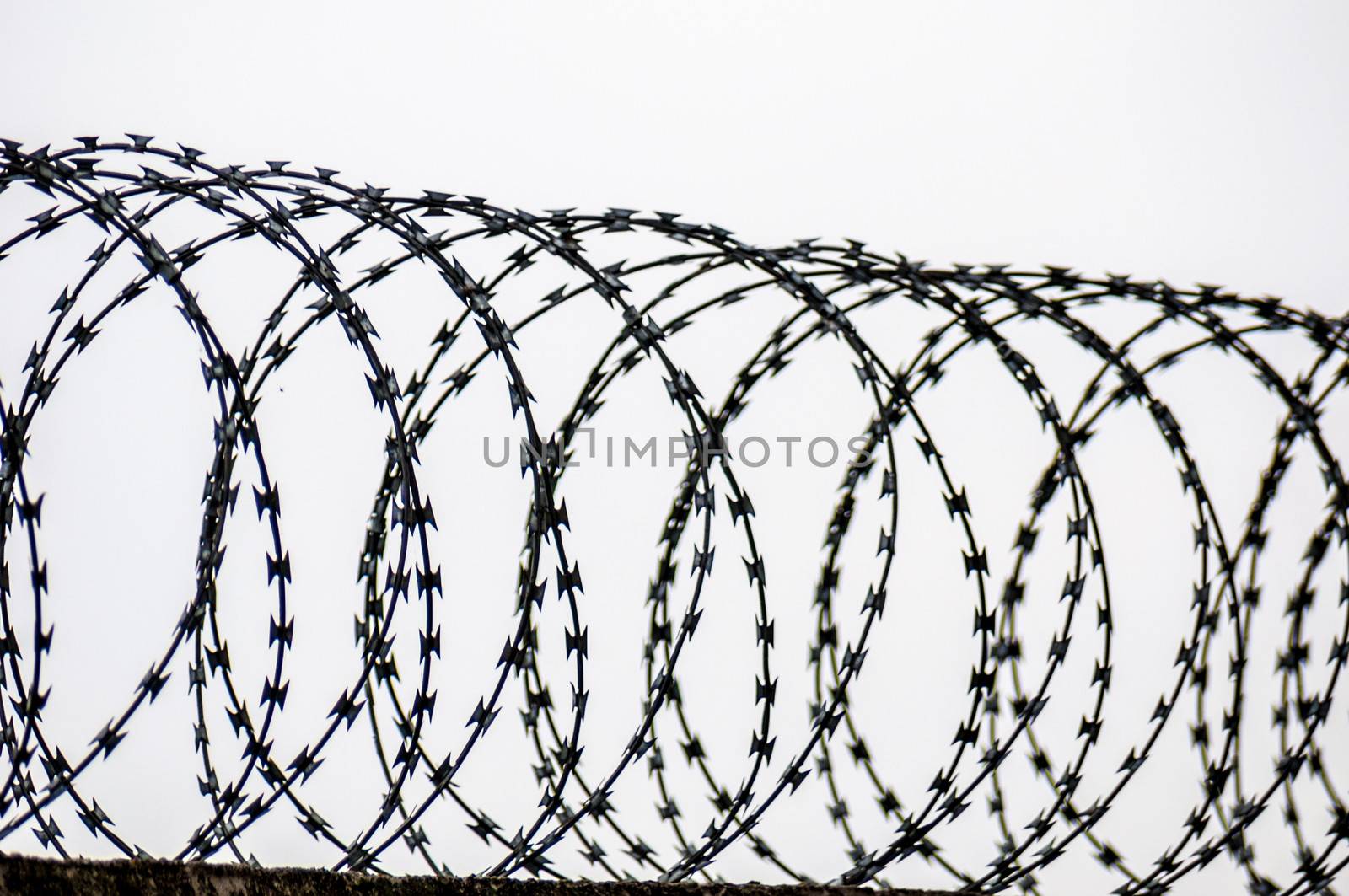 Barbed wire by Jule_Berlin
