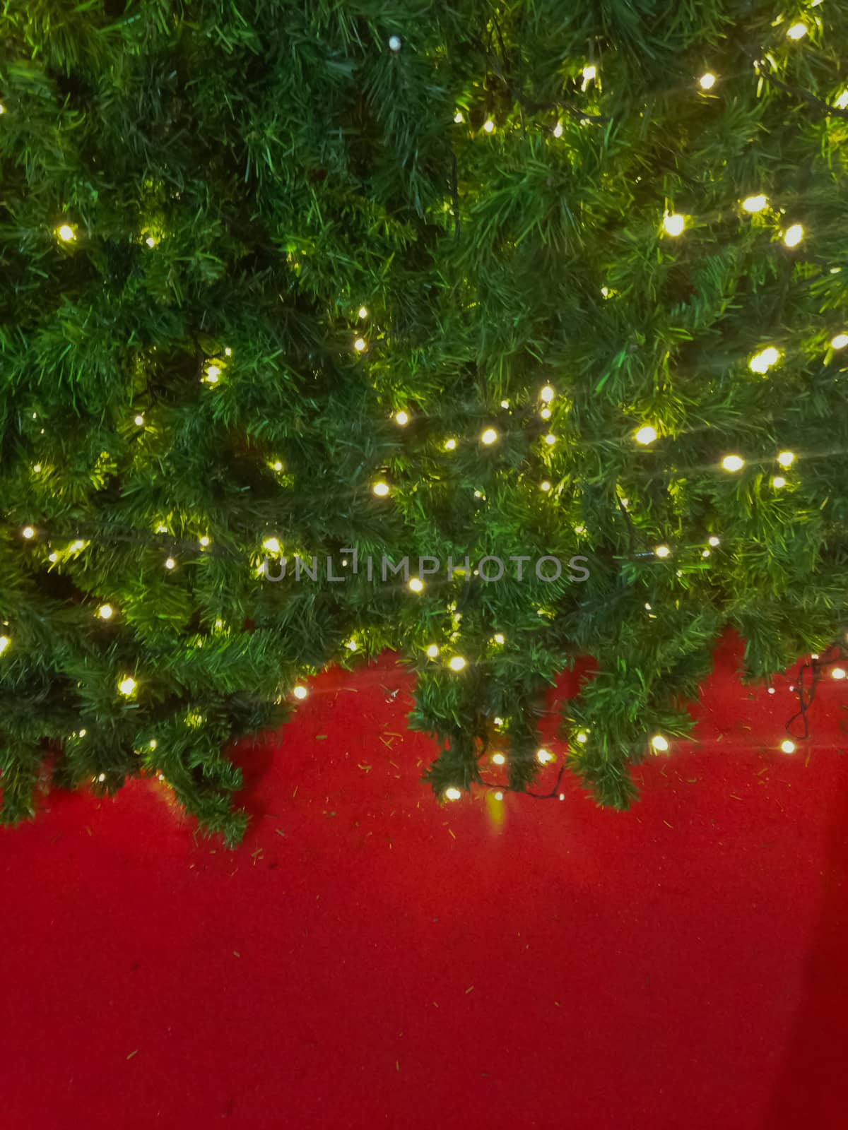 bokeh blurred out of focus background Christmas fir tree by nikky1972