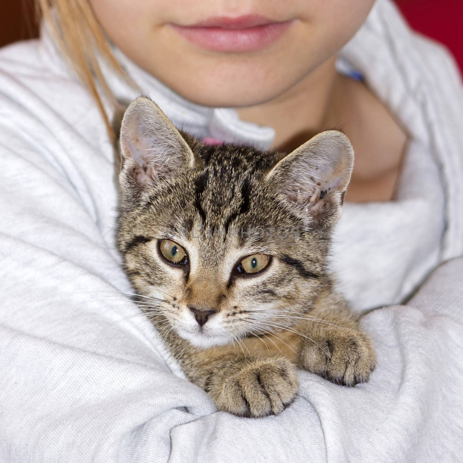 child with kitten