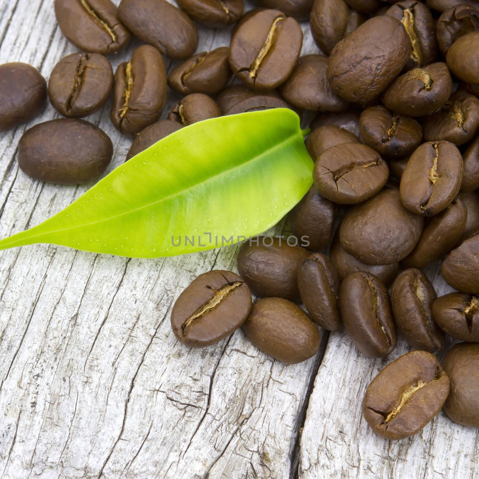 coffee beans by miradrozdowski