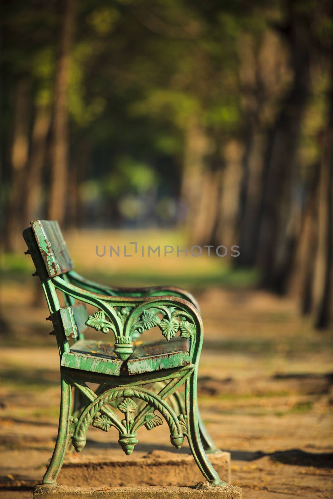 old green bench in park with blurry background use as copy space