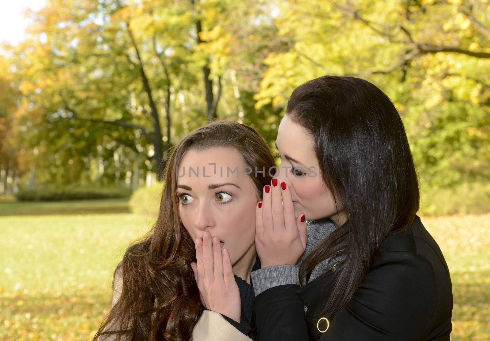 girlfriends whispering in autumn park