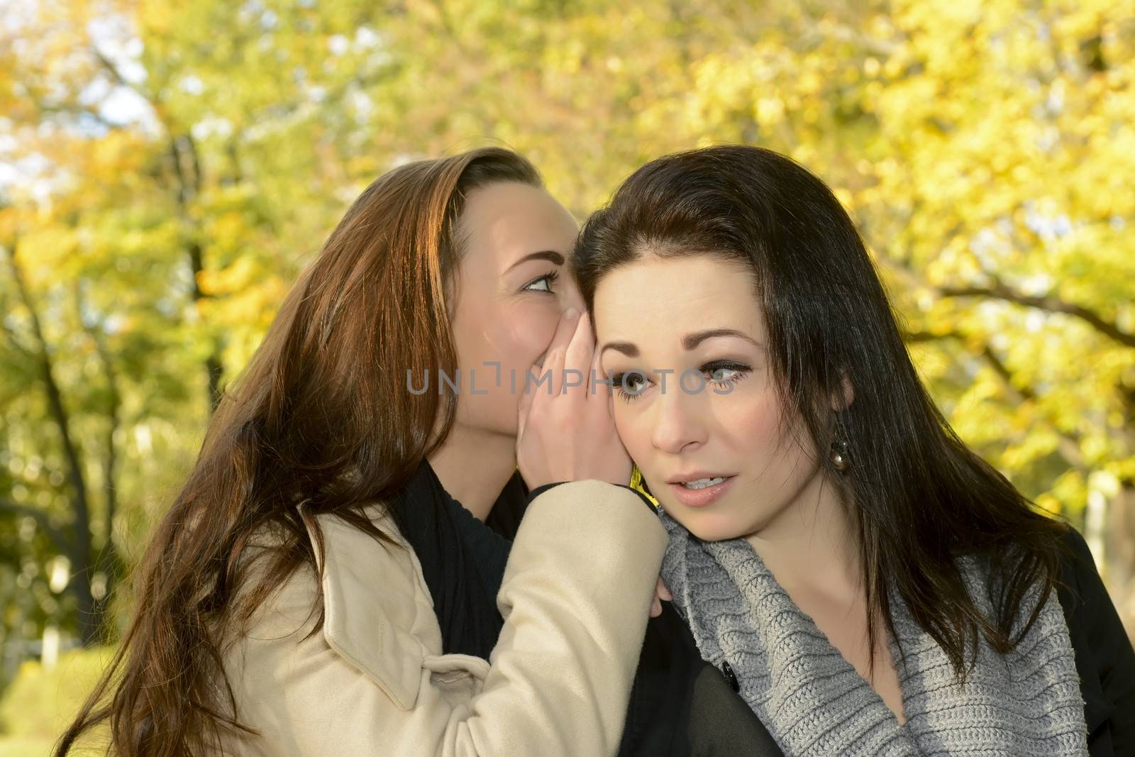 beautiful girlfriends whispering in autumn park
