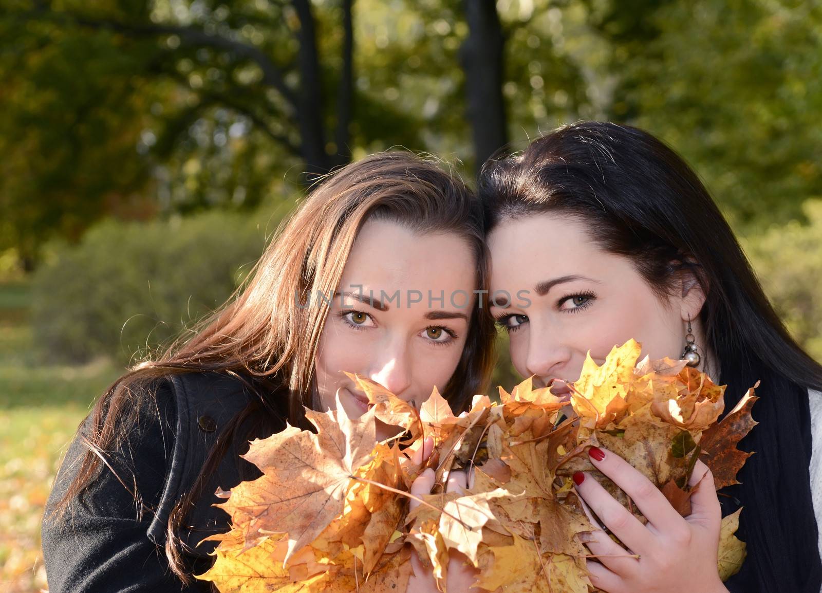 beautiful young woman with autumn leaves