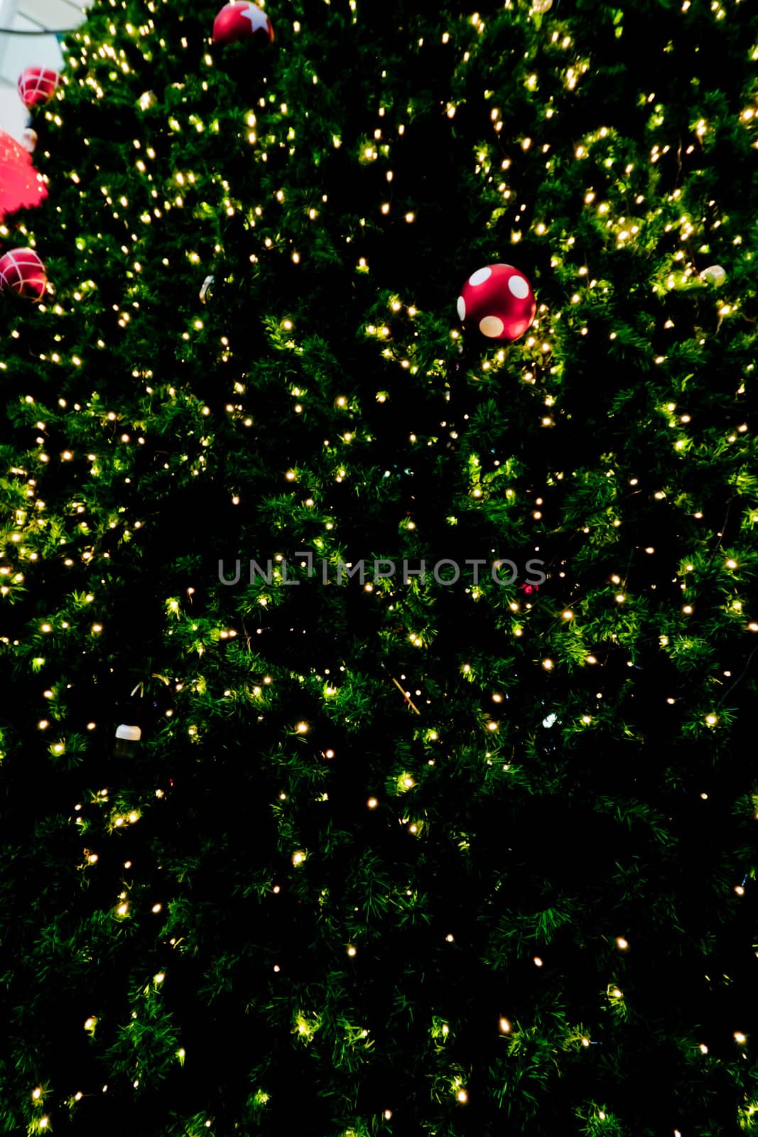 Background image of a Christmas tree decorated with lights by nikky1972