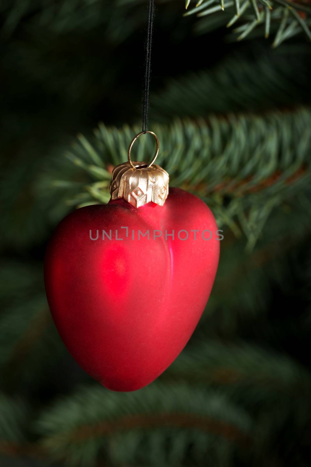 One red christmas ball handing on a green tir.