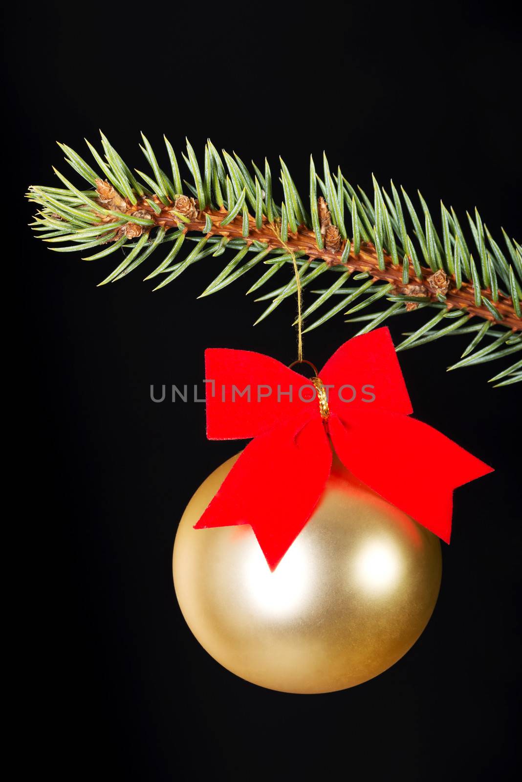 One gold christmas ball on a green fir with red bow. On black background.
