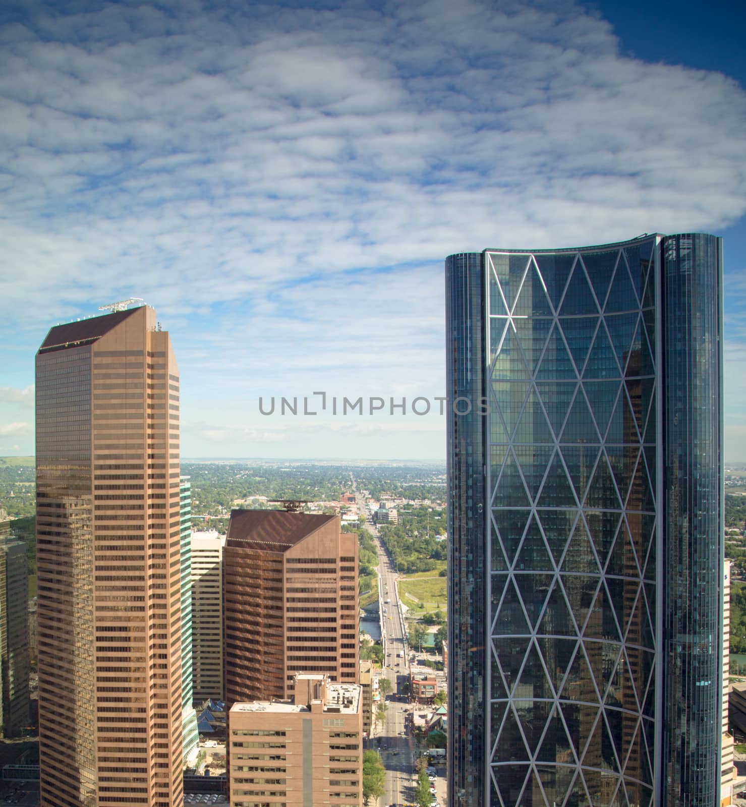 Calgary city skyline view