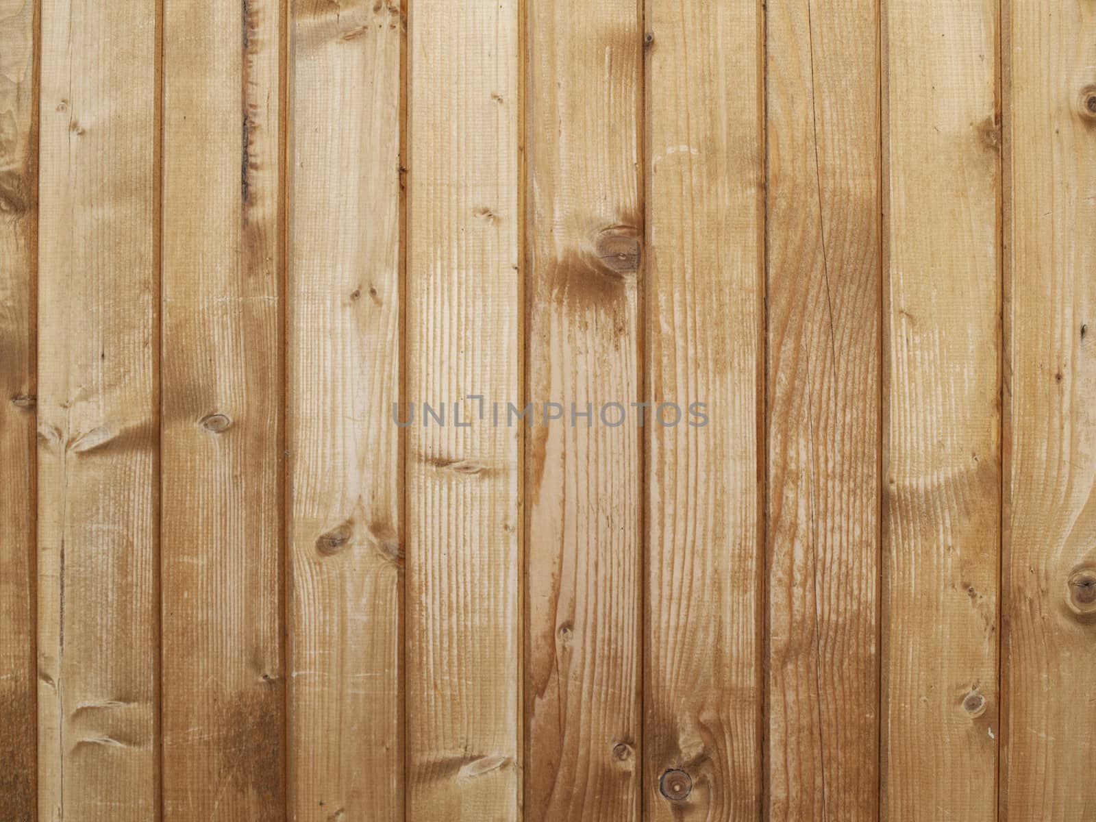 Photo of the Abstract Natural Wooden Background