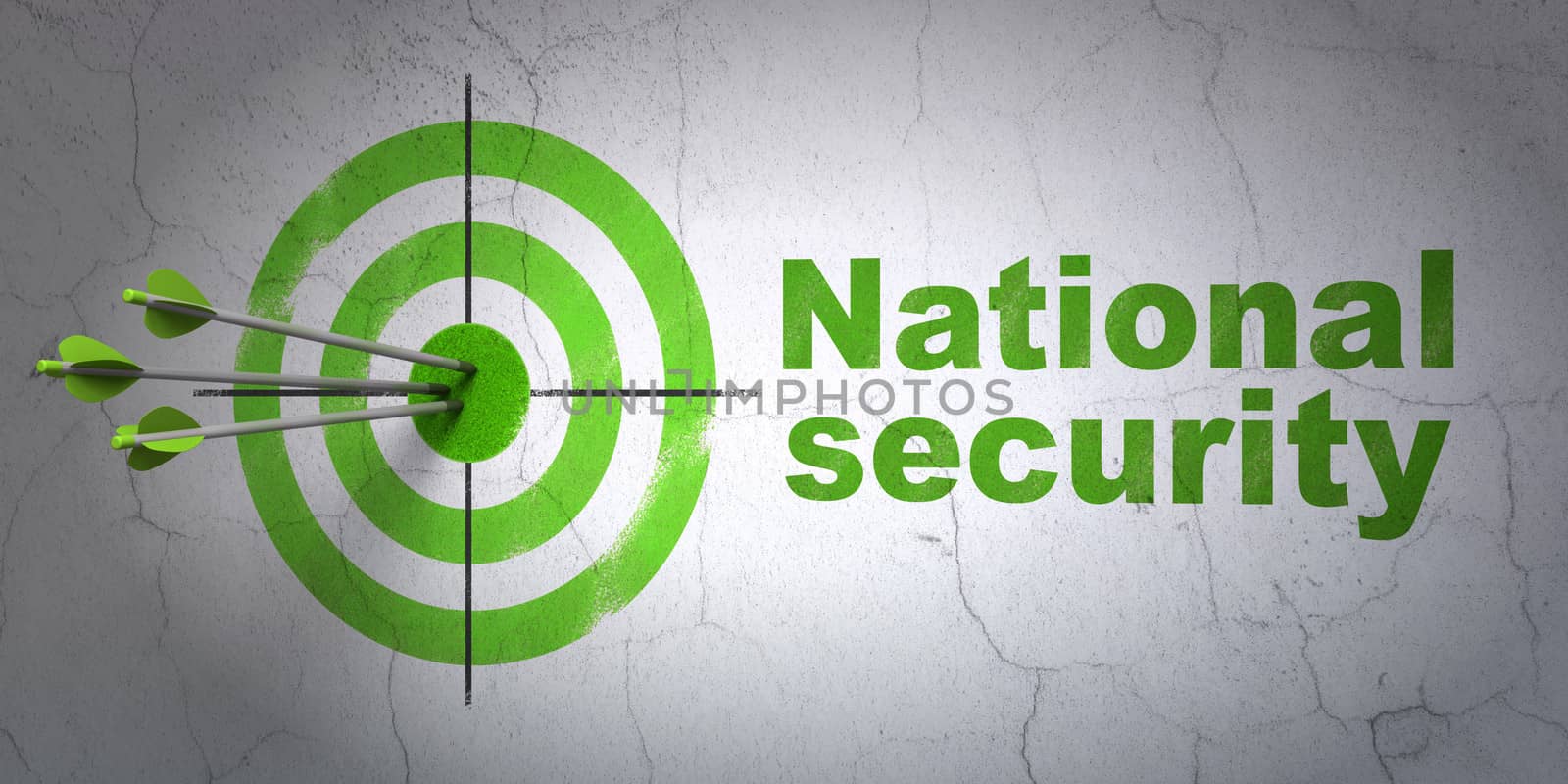 Privacy concept: target and National Security on wall background by maxkabakov